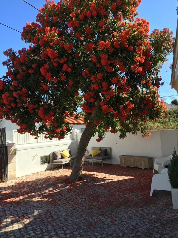 Cosy Sintra Hotel ภายนอก รูปภาพ
